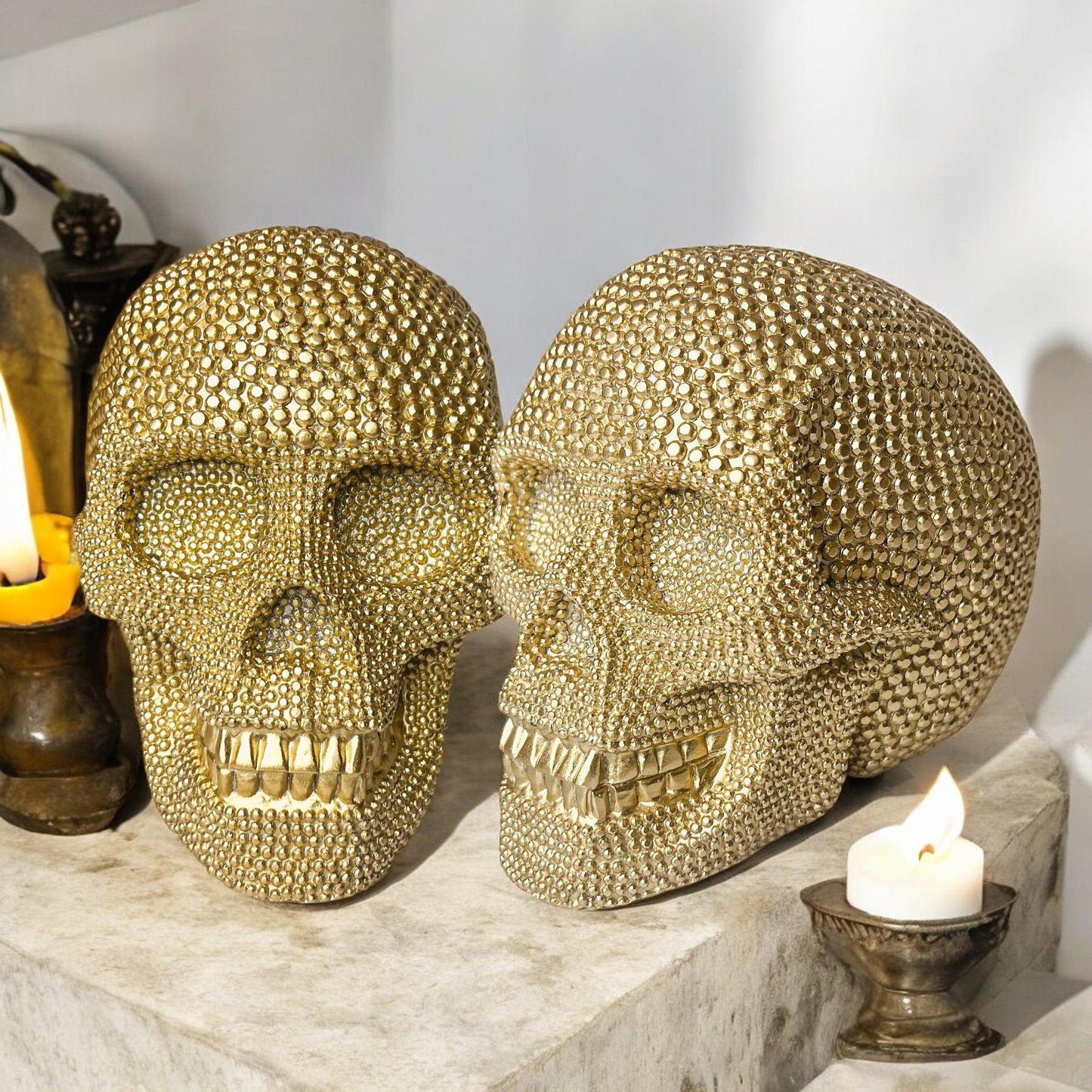 Resin Skull